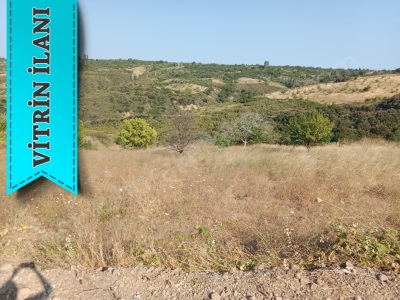 Asfalt Yola Cepheli Burak Emlaktan Satılık Tarla Şarköy Çınarlı Mah