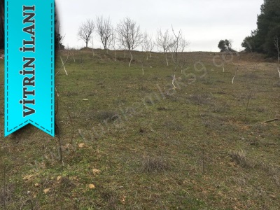Yatırımlık Cevizlik Burak Emlaktan Satılık Tarla Şarköy İğdebağları Mah