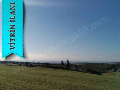 Deniz Manzaralı Burak Emlaktan Satılık Tarla Şarköy Kocaali Mah