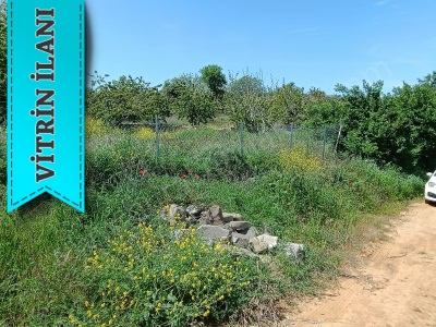 Yatırımlık Karaağaçta Burak Emlaktan Satılık Tarla Şarköy Hoşköy Mah