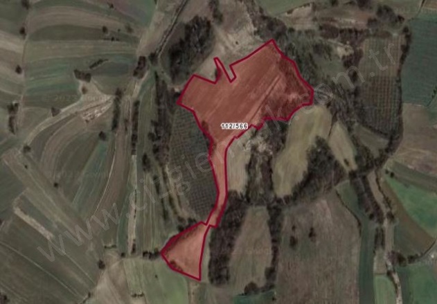 Balcı Mah. Kandıra Satılık Tarla |  17355M2 15.000.000Tl Resim-1