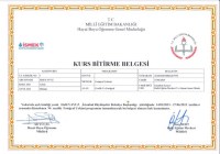 İsmek Fotoğrafçılık Sertifikası