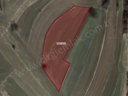 Kandıra Balcı Mah. Satılık Tarla 2891 M2