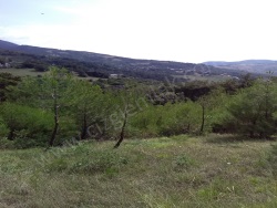 Geyve Melekşeoruç Mah. Satılık Tarla 3876 M2