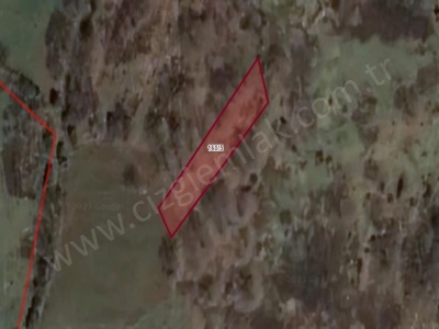 Çizgi Emlaktan Kandıra Balcıda Satılık Tarla 590 M2 Arazi Balcı Mah