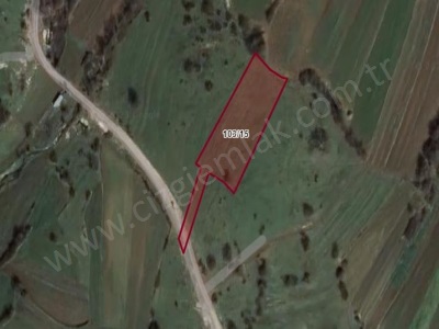 Çizgi Emlaktan Kandıra Balcı Da Satılık Tarla 1638 M2 Arazi Mah