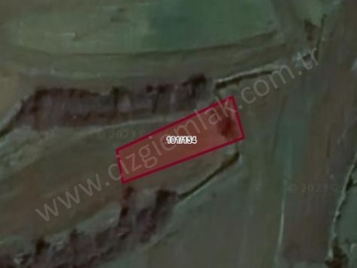 Çizgi Emlaktan Kandıra Balcı Malaklarda Satılık Tarla 384 M2 Arazi Mah