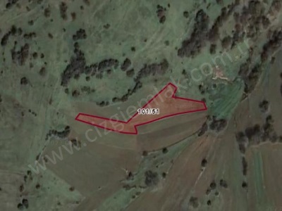 Çizgi Emlaktan Kandıra Balcı Malaklarda Satılık Tarla 1826 M2 Arazi Mah