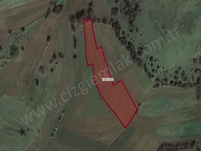 Çizgi Emlaktan Kandıra Balcı Malaklarda Satılık Tarla 3496 M2 Arazi Mah