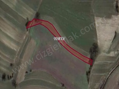 Çizgi Emlaktan Kandıra Balcı Malaklarda Satılık Tarla 1604 M2 Arazi Mah