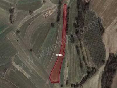 Çizgi Emlaktan Kandıra Balcı Malaklarda Satılık Tarla 2434 M2 Arazi Mah