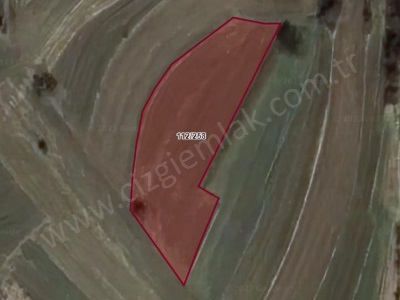 Çizgi Emlaktan Kandıra Balcı Malaklarda Satılık Tarla 2891 M2 Arazi Mah