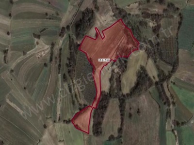 Çizgi Emlaktan Kandıra Balcı Malaklarda Satılık Tarla 17355 M2 Arazi Mah