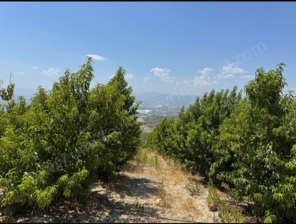 Bağcılar-İhsaniye Mah. Akdeniz Satılık Tarla |  12000M2 12.000.000Tl Resim-3
