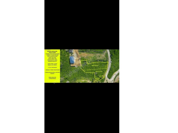 Sarıdede Mah. Hendek Satılık Arsa |  4937M2 7.000.000.000Tl İmarlı  Resim-2