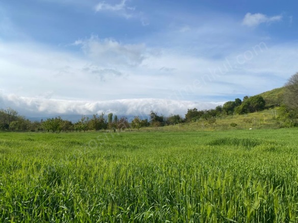 Arıcaklar Köyü Gölpazarı Satılık Tarla |  7712M2 1.400.000Tl Resim-4