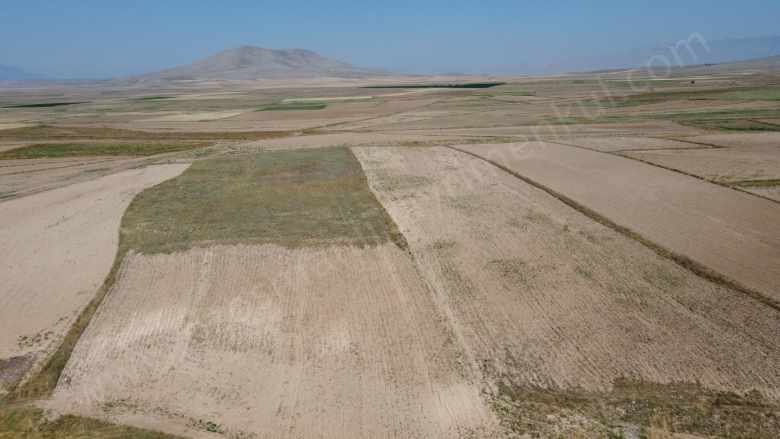 Sultandağı Pınarlıda 14 750 M2 Tarım Ve Yatırıma Uygun Satılık Tarla Pınarlı Mah-Üçkuyu Köyü