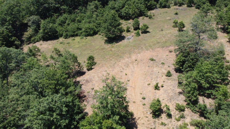 Oğulpaşa Mah-Oğulpaşa Köyü. Osmaneli Satılık Tarla |  9207M2 800.000Tl Resim-2