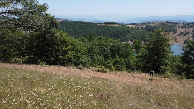 Oğulpaşa Mah-Oğulpaşa Köyü. Osmaneli Satılık Tarla |  9207M2 800.000Tl Resim-4