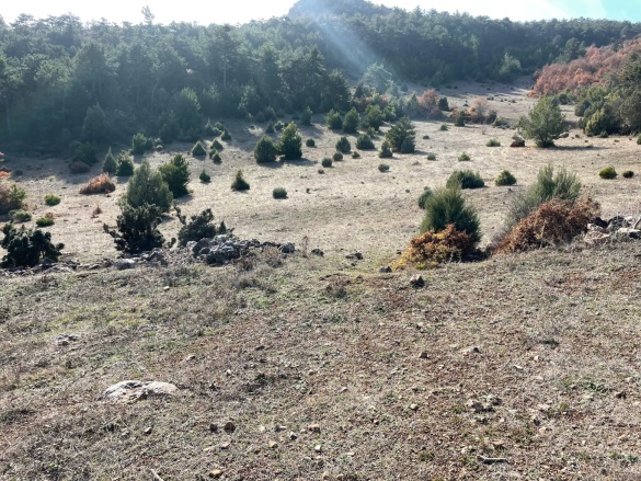 Akçapınar Mah-Akçapınar Köyü. Osmaneli Satılık Tarla | 1.250.000Tl Resim-2