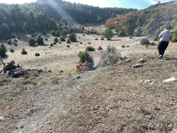 Akçapınar Mah-Akçapınar Köyü. Osmaneli Satılık Tarla | 1.250.000Tl Resim-3