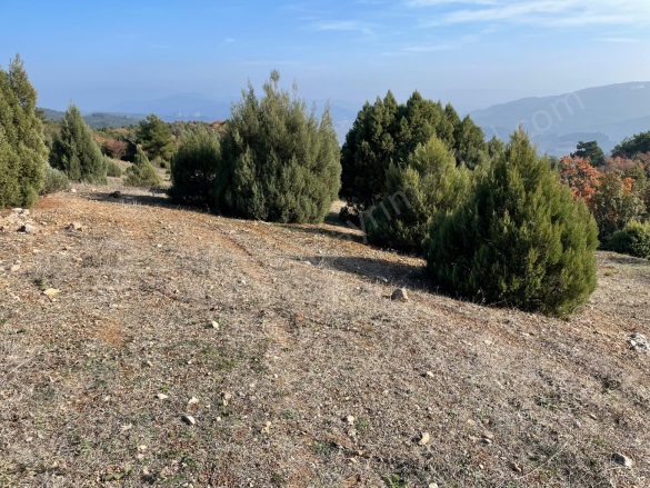 Akçapınar Mah-Akçapınar Köyü. Osmaneli Satılık Tarla | 1.250.000Tl Resim-4