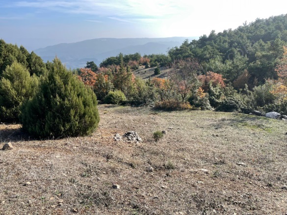 Akçapınar Mah-Akçapınar Köyü. Osmaneli Satılık Tarla | 1.250.000Tl Resim-5