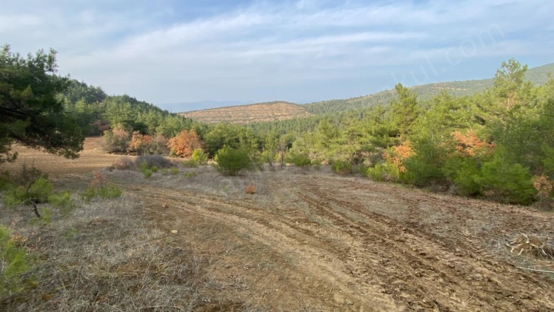 Medetli Köyü Osmaneli Satılık Tarla |  3420M2 400.000Tl Resim-2