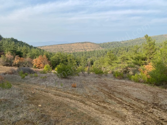 Medetli Köyü Osmaneli Satılık Tarla |  3420M2 400.000Tl Resim-3