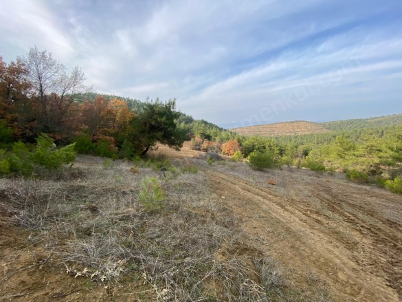 Medetli Köyü Osmaneli Satılık Tarla |  3420M2 400.000Tl Resim-5