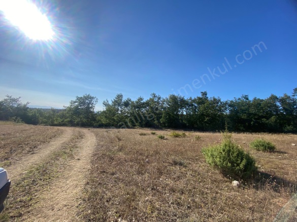 İlyasça Köyü Bilecik Satılık Tarla |  2086M2 300.000Tl Resim-2