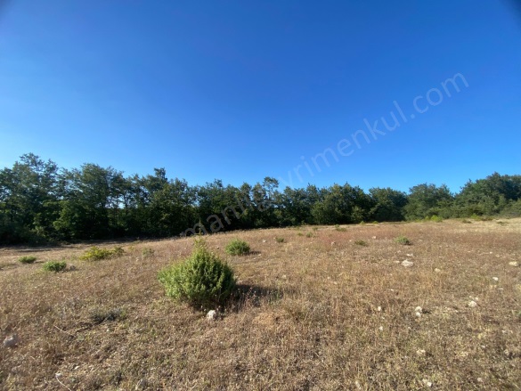 İlyasça Köyü Bilecik Satılık Tarla |  2086M2 300.000Tl Resim-4