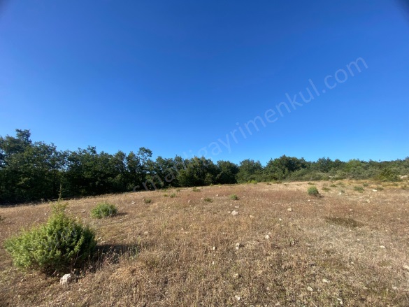 İlyasça Köyü Bilecik Satılık Tarla |  2086M2 300.000Tl Resim-5