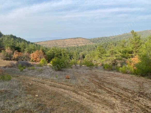 Balçıkhisar Köyü Osmaneli Satılık Tarla |  1641M2 550.000Tl Resim-4