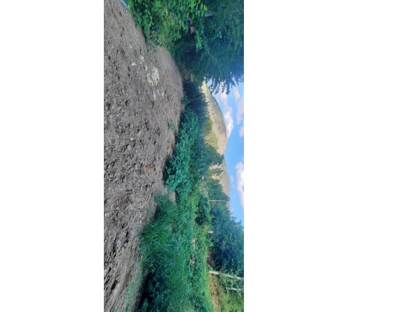 Köprülü Mehmet Paşa Mah-Vezirhan. Bilecik Satılık Tarla |  1229M2 550.000Tl Resim-2