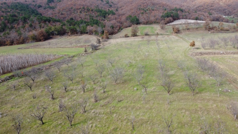 Oğulpaşa Mah-Oğulpaşa Köyü. Osmaneli Satılık Tarla |  6889M2 1.450.000Tl Resim-1