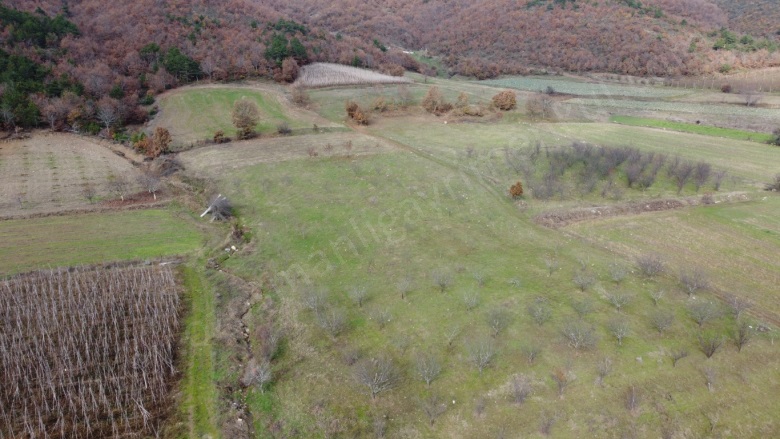 Oğulpaşa Mah-Oğulpaşa Köyü. Osmaneli Satılık Tarla |  6889M2 1.450.000Tl Resim-3