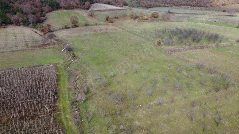 Oğulpaşa Mah-Oğulpaşa Köyü. Osmaneli Satılık Tarla |  6889M2 1.450.000Tl Resim-4