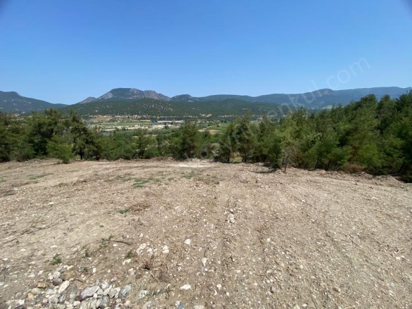 Selbükü Köyü Bilecik Satılık Tarla |  5128M2 1.800.000Tl Resim-2