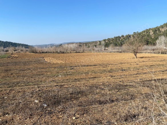 Medetli Köyü Osmaneli Satılık Tarla |  3030M2 1.450.000Tl Resim-2