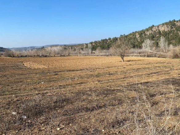 Medetli Köyü Osmaneli Satılık Tarla |  3030M2 1.450.000Tl Resim-4