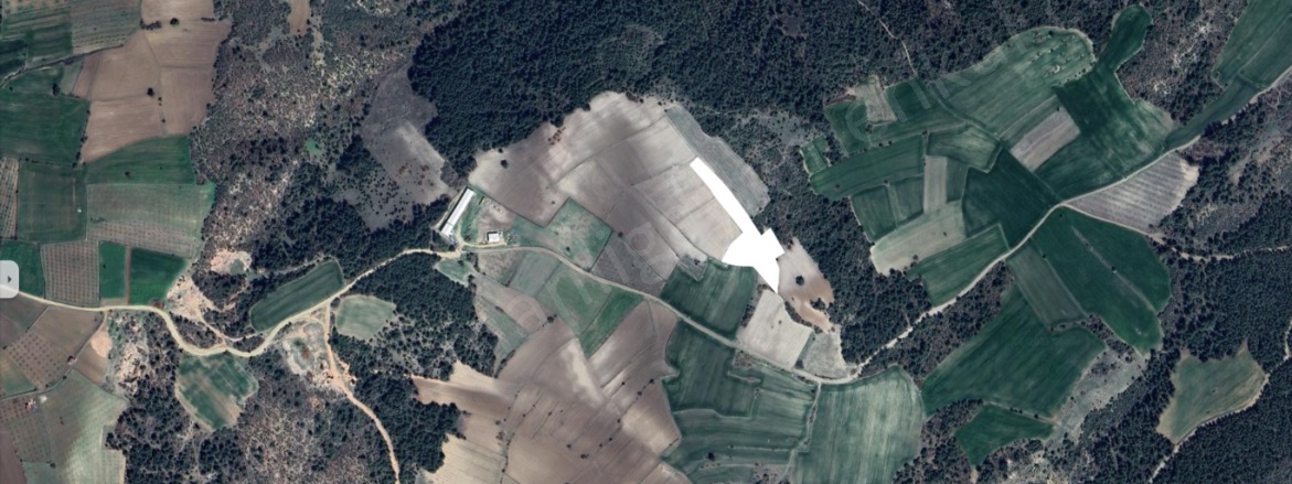 Günüören Köyü Osmaneli Satılık Tarla |  6000M2 700.000Tl Resim-1