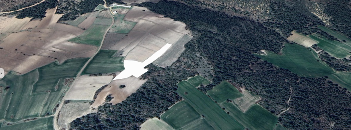 Günüören Köyü Osmaneli Satılık Tarla |  6000M2 700.000Tl Resim-4