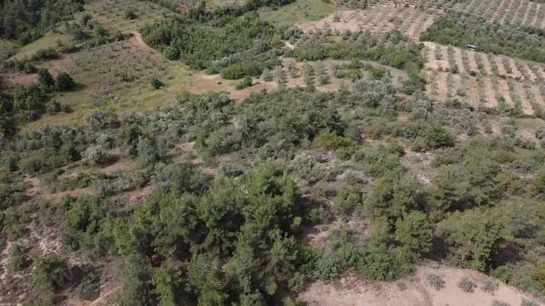 Balçıkhisar Köyünde 1 163 M2 Satılık Tarla Osmaneli