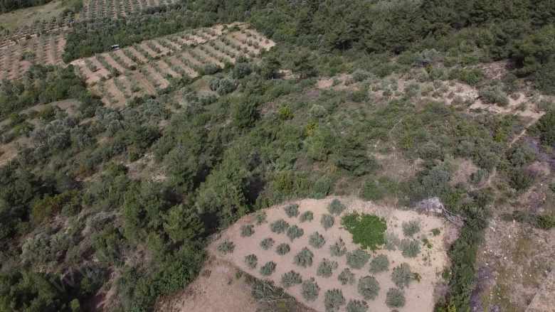 Balçıkhisar Köyünde 1 163 M2 Satılık Tarla Osmaneli