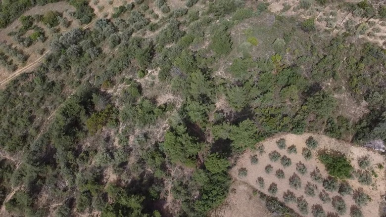 Balçıkhisar Köyü Osmaneli Satılık Tarla |  1163M2 370.000Tl Resim-4