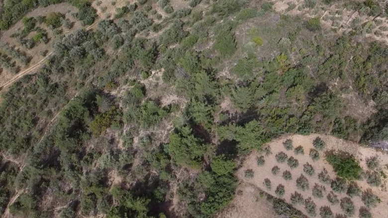 Balçıkhisar Köyü Osmaneli Satılık Tarla |  1163M2 370.000Tl Resim-5