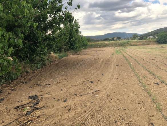 Büyükyenice Köyü Osmaneli Satılık Tarla |  600M2 700.000Tl Resim-1