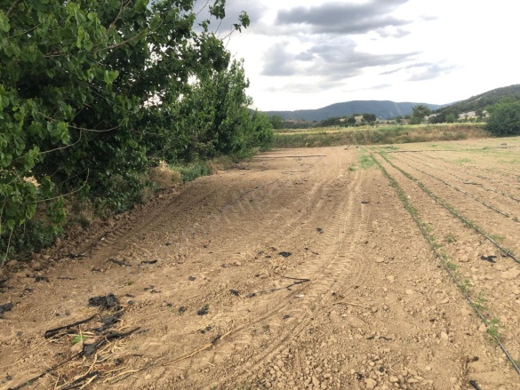 Büyükyenice Köyü Osmaneli Satılık Tarla |  600M2 700.000Tl Resim-3