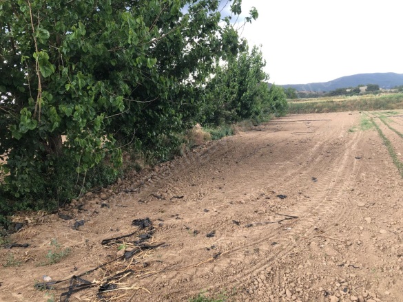Büyükyenice Köyü Osmaneli Satılık Tarla |  600M2 700.000Tl Resim-4